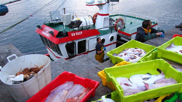 Reducir la pesca podría ser insuficiente para conservar el Mediterráneo si sube la temperatura