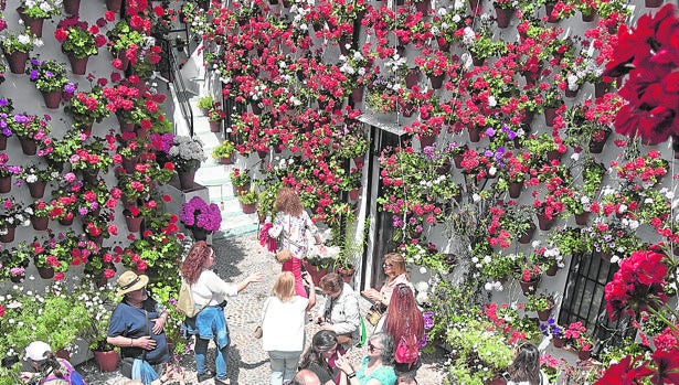 La fiesta de los patios de Córdoba tendrá lugar de 6 al 19 de mayo