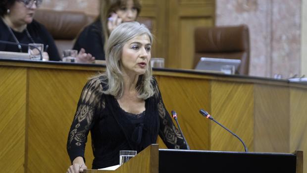 Patricia del Pozo, consejera de Cultura