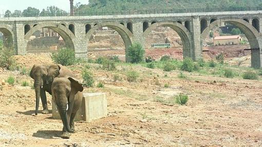 En la provincia existen dos grandes zoológicos, en Guillena y El Castillo de las Guardas