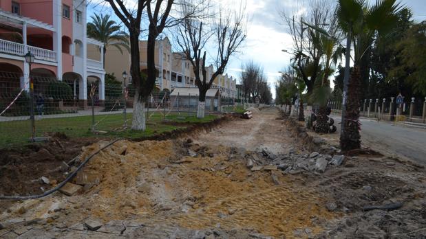 En los últimos años han desaparecido numerosos árboles del casco urbano de Utrera