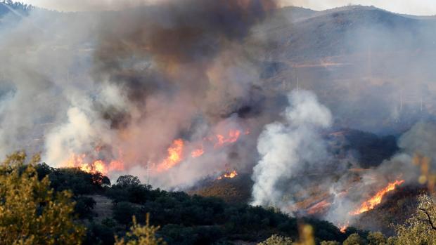 Incendio forestal en El Madroño