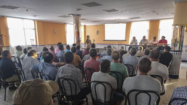 Un instante de la reuniÃ³n mantenida por la asociaciÃ³n de productores de aceituna Â«El VerdeoÂ»
