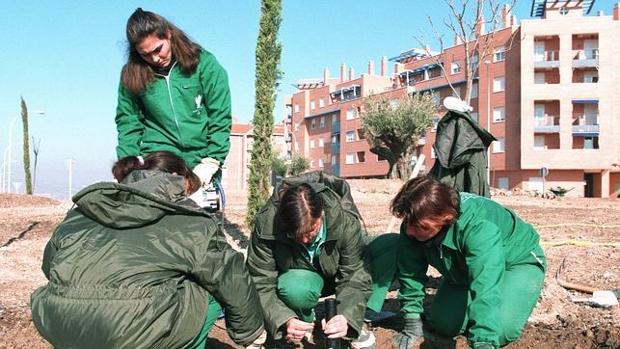 Uno de los grados demandados es el de Técnico en Jardinería y Floristería