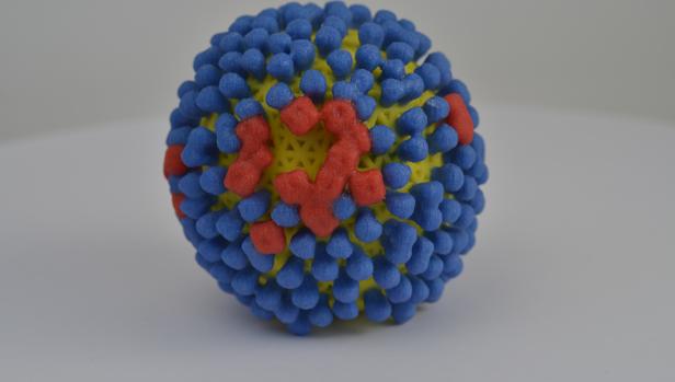 Virus de la gripe