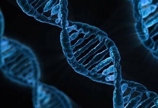 Genes
