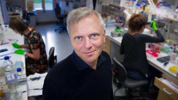 Patrik Ernfors, profesor del Departamento de Bioquímica y Biofísica Médica del Instituto Karolinska e investigador principal del estudio