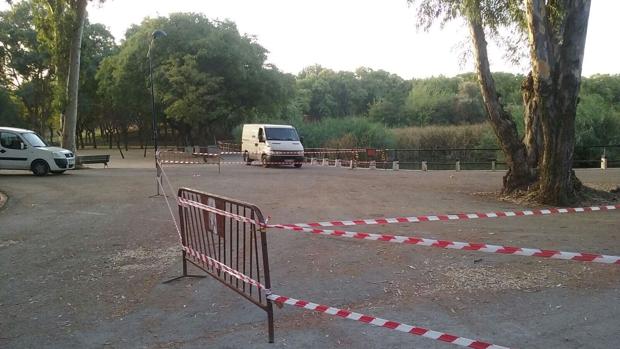 Zona cercada para revisar el arbolado tras la caída de una rama de un eucalipto