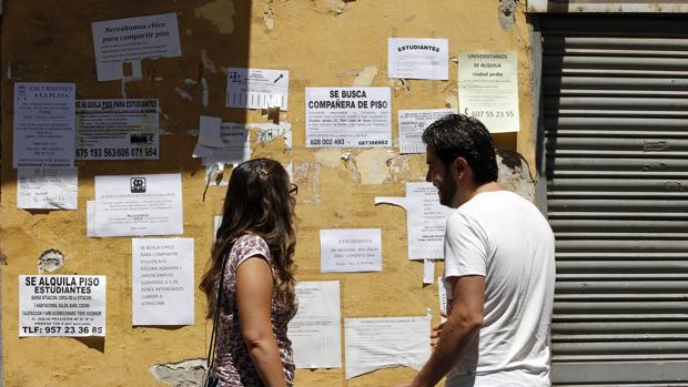 Estudiantes observan anuncios de alquileres de pisos