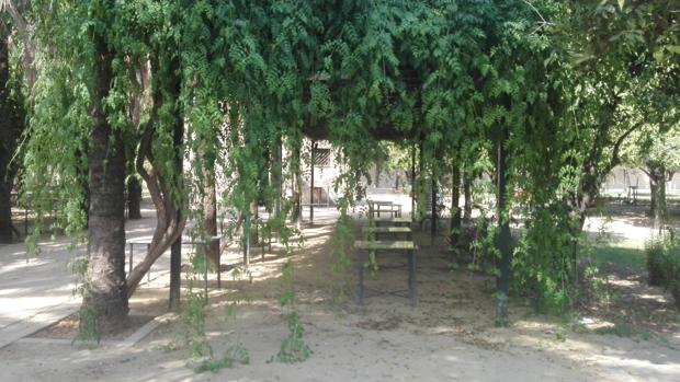 Estado de una de las pérgolas del parque