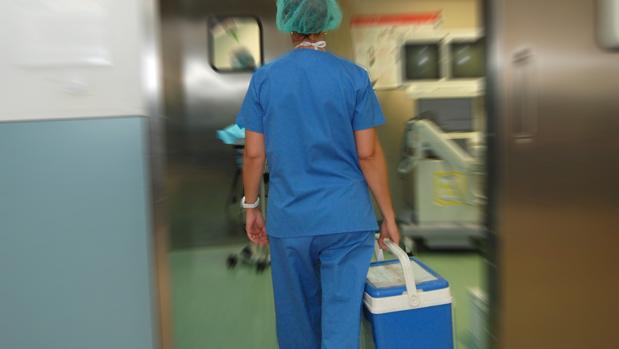 Personal sanitario transportando un órgano en una nevera