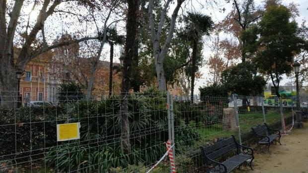 Control de roedores en los jardines del Cristina