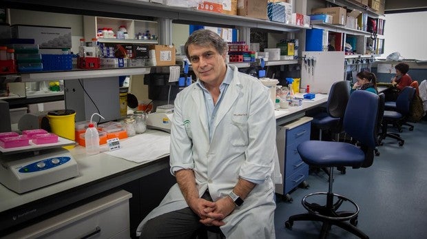 Sobre estas líneas, Javier Martín Broto, experto del Virgen del Rocío que lidera el proyecto Selnet